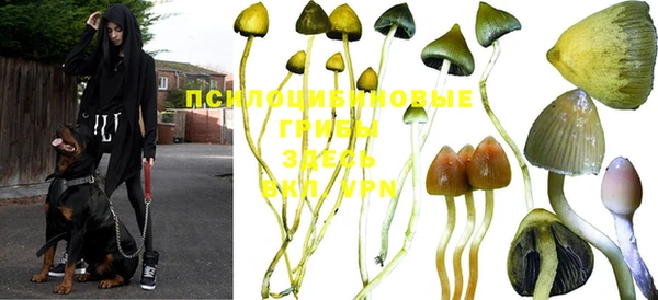 экстази Белоозёрский